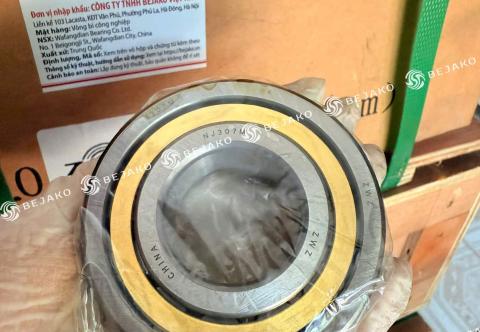 Tổng hợp các loại vòng bi đũa phổ biến và ứng dụng thực tế