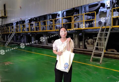 Vòng Bi Lô Sấy Nhà Máy Giấy Hay Bị Nứt Toác? Chọn Khe Hở C3 Hay C4?