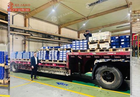 Thị trường vòng bi Trung Quốc: Chất lượng, giá cả và nhà cung cấp hàng đầu